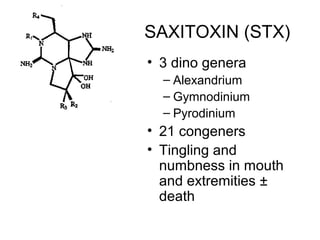 SAXITOXIN (STX)
• 3 dino genera
  – Alexandrium
  – Gymnodinium
  – Pyrodinium
• 21 congeners
• Tingling and
  numbness in mouth
  and extremities ±
  death
 