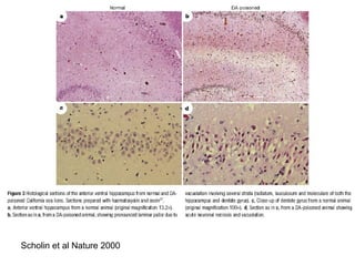 Scholin et al Nature 2000
 