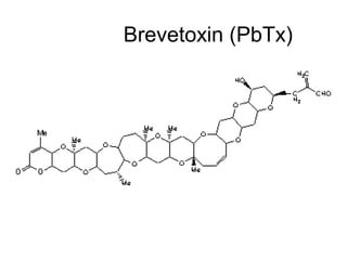 Brevetoxin (PbTx)
 