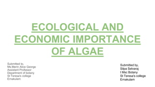 ECOLOGICAL AND
ECONOMIC IMPORTANCE
OF ALGAE
Submitted by,
Silpa Selvaraj
I Msc Botany
St Teresa's college
Ernakulam
 