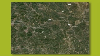 Algarve - Região Agrária 