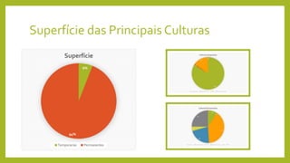 Superfície das Principais Culturas
6%
94%
Superfície
Temporarias Permanentes
 