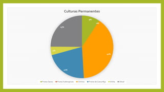 9%
0%
40%
22%
4%
25%
Culturas Permanentes
Frutos Secos Frutos Subtropicais Citrinos Frutos de Casca Rija Vinha Olival
 