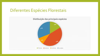 Diferentes Espécies Florestais
16%
43%
10%
31%
Distibuição das principais espécies
Pinheiro Sobreiro Azinheira Eucalipto
 