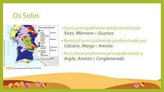 Os Solos
• Serra principalmente predominada por
Xisto, Mármore e Quartzo
• Barrocal principalmente predominado por
Calcário, Marga e Arenito
• No Litoral predomina principalemente a
Argila, Arenito e Conglomerado
 