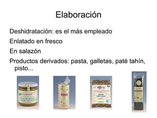 Elaboración Deshidratación: es el más empleado Enlatado en fresco En salazón Productos derivados: pasta, galletas, paté tahín, pisto... 
