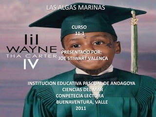 LAS ALGAS MARINAS

                CURSO
                 11-1


            PRESENTADO POR:
           JOE STIWART VALENCA



INSTITUCION EDUCATIVA PASCUAL DE ANDAGOYA
              CIENCIAS DEL MAR
           CONPETECIA LECTORA
           BUENAVENTURA, VALLE
                   2011
 