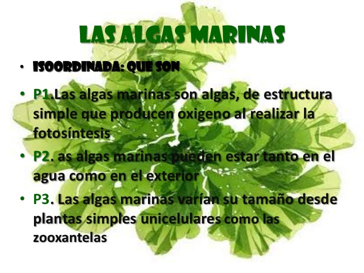 NOCIONES DE FISIOLOG A VEGETAL NOCIONES DE FISIOLOG A VEGETAL
