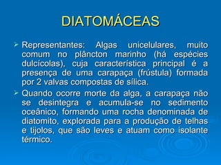 DIATOMÁCEAS
   Representantes: Algas unicelulares, muito
    comum no plâncton marinho (há espécies
    dulcícolas), cuja característica principal é a
    presença de uma carapaça (frústula) formada
    por 2 valvas compostas de sílica.
   Quando ocorre morte da alga, a carapaça não
    se desintegra e acumula-se no sedimento
    oceânico, formando uma rocha denominada de
    diatomito, explorada para a produção de telhas
    e tijolos, que são leves e atuam como isolante
    térmico.
 