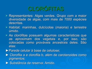 CLORÓFITAS
 Representantes: Algas verdes. Grupo com a maior
  diversidade de algas, com mais de 7000 espécies
  descritas.
 Habitat: marinhas, dulcícolas (maioria) e terrestre
  úmido.
 As clorófitas possuem algumas características que
  as aproximam dos vegetais e, por isso, são
  colocadas como prováveis ancestrais deles. São
  elas:
►Parede celular à base de celulose;
► Clorofila a e clorofila b, além de carotenoides como
  pigmentos;
► Substância de reserva: Amido.
 