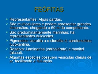 FEÓFITAS
   Representantes: Algas pardas.
   São multicelulares e podem apresentar grandes
    dimensões, chegando a 60 m de comprimento.
   São predominantemente marinhas; há
    representantes dulcícolas.
   Pigmentos: clorofila a e clorofila d; carotenoides;
    fucoxantina.
   Reserva: Laminarina (carboidrato) e manitol
    (álcool).
   Algumas espécies possuem vesículas cheias de
    ar, facilitando a flutuação.
 