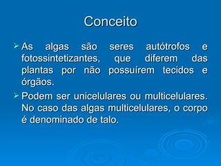 Conceito
 As    algas são seres autótrofos e
  fotossintetizantes, que diferem das
  plantas por não possuírem tecidos e
  órgãos.
 Podem ser unicelulares ou multicelulares.
  No caso das algas multicelulares, o corpo
  é denominado de talo.
 