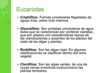 Eucariotas
 Criptófitos: Formas unicelulares flageladas de
aguas frías, sobre todo marinos.
 Glaucófitos: Son protistas unicelulares de agua
dulce que se caracterizan por contener cianelas,
que son plastos con características típicas de
las cianobacterias y ausentes de los plastos del
resto de las algas y plantas.
 Rodófitos: Son las algas rojas. En algunas
clasificaciones se clasifican dentro del reino
vegetal.
 Clorófitos: Son las algas verdes, de una de
cuyas ramas evolutivas evolucionaron las
plantas terrestres.
 