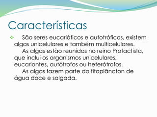 Características
 São seres eucarióticos e autotróficos, existem
algas unicelulares e também multicelulares.
As algas estão reunidas no reino Protactista,
que inclui os organismos unicelulares,
eucariontes, autótrofos ou heterótrofos.
As algas fazem parte do fitoplâncton de
água doce e salgada.
 