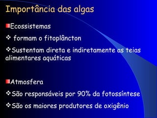 Importância das algas
Ecossistemas
 formam o fitoplâncton
Sustentam direta e indiretamente as teias
alimentares aquáticas
Atmosfera
São responsáveis por 90% da fotossíntese
São os maiores produtores de oxigênio
 