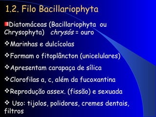 1.2. Filo Bacillariophyta
Diatomáceas (Bacillariophyta ou
Chrysophyta) chrysós = ouro
Marinhas e dulcícolas
Formam o fitoplâncton (unicelulares)
Apresentam carapaça de sílica
Clorofilas a, c, além da fucoxantina
Reprodução assex. (fissão) e sexuada
 Uso: tijolos, polidores, cremes dentais,
filtros
 