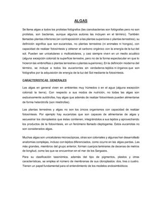 ALGAS
Se llama algas a todos los protistas fotógrafos (las cianobacterias son fotógrafas pero no son
protistas, son bacterias, aunque algunos autores las incluyen en el término). También
llamadas plantas inferiores (en contraposición a las plantas superiores o plantas terrestres), su
definición significa que son eucariotas, no plantas terrestres (ni animales ni hongos), con
capacidad de realizar fotosíntesis y obtener el carbono orgánico con la energía de la luz del
sol. Pueden ser unicelulares o multicelulares, y casi siempre viven en un medio acuático
(alguna excepción colonizó la superficie terrestre, pero no de la forma espectacular en que lo
hicieron las embriofitas o plantas terrestres o plantas superiores). En la definición moderna del
término, se incluye a todos los eucariontes sin verdaderos tejidos ni órganos que son
fotógrafos por la adquisición de energía de la luz del Sol mediante la fotosíntesis.
CARACTERISTICAS GENERALES
Las algas en general viven en ambientes muy húmedos o en el agua (alguna excepción
colonizó la tierra). Con respecto a sus modos de nutrición, no todas las algas son
exclusivamente autótrofas, hay algas que además de realizar fotosíntesis pueden alimentarse
de forma heterótrofa (son mixótrofas).
Las plantas terrestres y algas no son los únicos organismos con capacidad de realizar
fotosíntesis. Por ejemplo hay eucariotas que son capaces de alimentarse de algas y
secuestrar los cloroplastos que éstas contienen, integrándolos a sus tejidos y aprovechando
los productos de la fotosíntesis, en un fenómeno llamado cleptogamia. Estos eucariotas no
son considerados algas.
Muchas algas son unicelulares microscópicas, otras son coloniales y algunas han desarrollado
anatomías complejas, incluso con tejidos diferenciados, como ocurre en las algas pardas. Las
más grandes, miembros del grupo anterior, forman cuerpos laminares de decenas de metros
de longitud, como las que se encuentran en el mar de los Sargazos.
Para su clasificación taxonómica, además del tipo de pigmentos, plastos y otras
características, se emplea el número de membranas de sus cloroplastos: dos, tres o cuatro.
Tienen un papel fundamental para el entendimiento de los modelos endosimbióticos
 