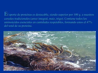 El aporte de proteínas es destacable, siendo superior por 100 g. a nuestros
cereales tradicionales (arroz integral, maíz, trigo). Contiene todos los
aminoácidos esenciales en cantidades respetables, formando estos el 47%
del total de su proteína.
 