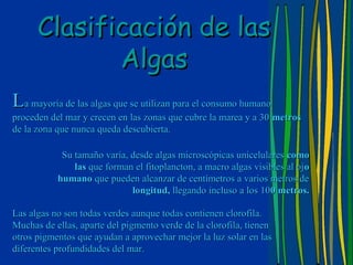 Clasificación de las
             Algas
La mayoría de las algas que se utilizan para el consumo humano
proceden del mar y crecen en las zonas que cubre la marea y a 30 metros
de la zona que nunca queda descubierta.

            Su tamaño varía, desde algas microscópicas unicelulares como
               las que forman el fitoplancton, a macro algas visibles al oj o
           humano que pueden alcanzar de centímetros a varios metros de
                             longitud, llegando incluso a los 100 metros.

Las algas no son todas verdes aunque todas contienen clorofila.
Muchas de ellas, aparte del pigmento verde de la clorofila, tienen
otros pigmentos que ayudan a aprovechar mejor la luz solar en las
diferentes profundidades del mar.
 