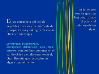 Los japoneses
                                           son los que más
                                          han desarrollado
Existe constancia del uso de                    el potencial
vegetales marinos en el noroeste de         culinario de las
Europa. Celtas y vikingos mascaban                    algas.
Dulse en sus viajes.

Laverbread, bladderwrack,
carragaheen, dabberlocks, sloke, tagle,
sanphire, son nombres comunes en el
sur de Gales y en diversas zonas de
Gran Bretaña que recuerdan las
algas como alimento.
 