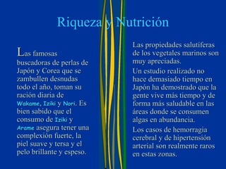 Riqueza y Nutrición
                           Las propiedades salutíferas
Las famosas                de los vegetales marinos son
buscadoras de perlas de    muy apreciadas.
Japón y Corea que se       Un estudio realizado no
zambullen desnudas         hace demasiado tiempo en
todo el año, toman su      Japón ha demostrado que la
ración diaria de           gente vive más tiempo y de
Wakame, Iziki y Nori. Es   forma más saludable en las
bien sabido que el         áreas donde se consumen
consumo de Iziki y         algas en abundancia.
Arame asegura tener una    Los casos de hemorragia
complexión fuerte, la      cerebral y de hipertensión
piel suave y tersa y el    arterial son realmente raros
pelo brillante y espeso.   en estas zonas.
 