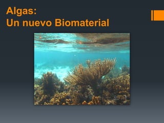 Algas:
Un nuevo Biomaterial
 