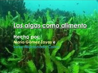 Las algas como alimentoLas algas como alimento
Hecho por:
María Gómez Zayas e
Irene Maldonado Calvo
 