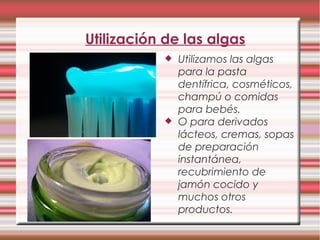 Utilización de las algas
 Utilizamos las algas
para la pasta
dentífrica, cosméticos,
champú o comidas
para bebés.
 O para derivados
lácteos, cremas, sopas
de preparación
instantánea,
recubrimiento de
jamón cocido y
muchos otros
productos.
 