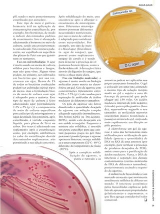 AGAR-AGAR




      pH, sendo o meio posteriormente      Após solidificação do meio, este
      esterilizado por autoclave.          encontra-se apto a albergar o
          Este tipo de meio é particu-     crescimento de microrganis-
      larmente útil na aplicação de        mos. Diferentes microrga-
      concentrações específicas de, por    nismos possuem diferentes
      exemplo, fito-hormonas, de modo      necessidades nutricionais,
      a induzir determinados padrões       por isso o meio de cultura
      de crescimento. Isto é alcançado     é adaptado para satisfazer
      adicionando a hormona ao meio de     essas necessidades. Por
      cultura, sendo este posteriormen-    exemplo, um tipo de meio
      te autoclavado. Esta mistura pode,   é o blood agar (literalmen-
      então, ser espalhada na superfície   te, agar de sangue), que
      das placas de Petri em que germi-    possui como suplemento
      nam as sementes.                     sangue de cavalo e é usado
          Uso em microbiologia: O agar     para detectar a presença de or-
      é muito usado em meios de cultura    ganismos hemorrágicos, como a
      sólidos para bactérias e fungos,     Escherichia coli. A detecção é feita
      mas não para vírus. Alguns vírus     através da digestão do sangue, que
      podem, no entanto, ser cultivados    torna a placa mais clara.
      em bactérias que, por sua vez,          Uso em biologia molecular: a
      crescem em agar. Menos de 1%         agarose é muito usada em biologia         amostras podem ser aplicadas nos
      de todas as bactérias conhecidas     molecular como matriz na eletro-          poços entretanto formados. O gel
      podem ser cultivadas nestes tipos    forese em gel. Géis de agarose com        é colocado em uma tina contendo
      de meios, mas a formulação bási-     concentrações tipicamente entre           o mesmo tipo de solução tampão
      ca do meio de cultura com agar       0,5% e 2,5% (p/v) são usados para         usada no gel e sujeita a uma di-
      é adequado para a maioria. Este      separação de moléculas de ácidos          ferença de potencial que pode
      tipo de meio de cultura é feito      nucleicos de diferentes tamanhos.         chegar até 150 volts. Os ácidos
      adicionando agar (normalmente           Os géis de agarose são feitos          nucleicos migram do pólo negativo
      1,5% a 2% (p/v)) e componentes       dissolvendo a quantidade desejada         (cátodo) para o pólo positivo (âno-
      de meio de cultura específicos       de agarose em solução tampão              do), separando-se segundo o seu
      para cada tipo de microrganismo a    adequada aquecida (normalmente,           tamanho: as moléculas menores
      água destilada. Esta mistura, após   Tris-borato-EDTA ou Tris-acetato-         encontram menos resistência a
      esterilizada, é vertida, enquanto    EDTA), sendo esta despejada em            passagem através do gel, migrando
      líquida, para placas de Petri ou     um molde retangular. Enquanto a           mais rapidamente em direção ao
      tubos. Por vezes é adicionado um     mistura não solidifica, é inserido        pólo positivo.
      suplemento após a esterilização      um pente específico para que exis-           A eletroforese em gel de aga-
      como, por exemplo, antibióticos      tam pequenos poços no gel. Este           rose é uma das ferramentas mais
      (o calor da esterilização destrói    processo é possível porque a agarose      utilizadas para verificação da qua-
      determinados suplementos, não        apresenta histerese, ou seja, solidifi-   lidade (pureza e quantidade) de
      permitindo a sua adição anterior).   ca a uma temperatura (32ºC - 40ºC)        DNA ou RNA de uma amostra (por
                                           diferente da temperatura de fusão         exemplo, para verificar a presença
                                            (85ºC).                                  de produtos desejados de PCR),
                                                    Após a completa solidi-          assim como para a purificação de
                                                    ficação da agarose, o            ácidos nucleicos. Nesta, o DNA de
                                                        pente é retirado e as        interesse é separado dos demais
                                                                                     contaminantes (outras moléculas
                                                                                     de DNA de diferentes tamanhos),
                                                                                     posteriormente excisado e separa-
                                                                                     do da agarose.
                                                                                                                           ADITIVOS & INGREDIENTES




                                                                                        A indústria de ficocolóides é um
                                                                                     mercado crescente que movimenta
                                                                                     anualmente milhões de dólares no
                                                                                     mundo. O interesse econômico
© Jarrod1 - Dreamstime.com




                                                                                     pelos ficocolóides explica-se pelo
                                                                                     fato de apresentarem propriedades
                                                                                     gelatinizantes e espessantes, o
                                                                                     que lhes agrega considerável valor
                                                                                     comercial.                        q

                                                                                                                           39
 
