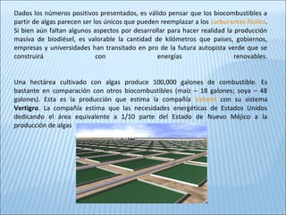 Dados los números positivos presentados, es válido pensar que los biocombustibles a
partir de algas parecen ser los únicos que pueden reemplazar a los carburantes fósiles.
Si bien aún faltan algunos aspectos por desarrollar para hacer realidad la producción
masiva de biodiésel, es valorable la cantidad de kilómetros que países, gobiernos,
empresas y universidades han transitado en pro de la futura autopista verde que se
construirá con energías renovables.
Una hectárea cultivado con algas produce 100,000 galones de combustible. Es
bastante en comparación con otros biocombustibles (maíz – 18 galones; soya – 48
galones). Esta es la producción que estima la compañía Valcent con su sistema
Vertigro. La compañía estima que las necesidades energéticas de Estados Unidos
dedicando el área equivalente a 1/10 parte del Estado de Nuevo Méjico a la
producción de algas
 
