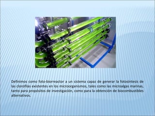 Definimos como foto-biorreactor a un sistema capaz de generar la fotosíntesis de
las clorofilas existentes en los microorganismos, tales como las microalgas marinas,
tanto para propósitos de investigación, como para la obtención de biocombustibles
alternativos.
 