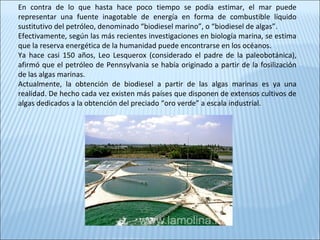 En contra de lo que hasta hace poco tiempo se podía estimar, el mar puede
representar una fuente inagotable de energía en forma de combustible líquido
sustitutivo del petróleo, denominado “biodiesel marino”, o “biodiesel de algas”.
Efectivamente, según las más recientes investigaciones en biología marina, se estima
que la reserva energética de la humanidad puede encontrarse en los océanos.
Ya hace casi 150 años, Leo Lesquerox (considerado el padre de la paleobotánica),
afirmó que el petróleo de Pennsylvania se había originado a partir de la fosilización
de las algas marinas.
Actualmente, la obtención de biodiesel a partir de las algas marinas es ya una
realidad. De hecho cada vez existen más países que disponen de extensos cultivos de
algas dedicados a la obtención del preciado “oro verde” a escala industrial.
 