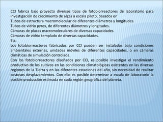 CCI fabrica bajo proyecto diversos tipos de fotobiorreactores de laboratorio para
investigación de crecimiento de algas a escala piloto, basados en:
Tubos de estructura macromolecular de diferentes diámetros y longitudes.
Tubos de vidrio pyrex, de diferentes diámetros y longitudes.
Cámaras de placas macromoleculares de diversas capacidades.
Cámaras de vidrio templado de diversas capacidades.
Etc.
Los fotobiorreactores fabricados por CCI pueden ser instalados bajo condiciones
ambientales externas, unidades móviles de diferentes capacidades, o en cámaras
climáticas de simulación controlada.
Con los fotobiorreactores diseñados por CCI, es posible investigar el rendimiento
productivo de los cultivos en las condiciones climatológicas existentes en las diversas
regiones de la Tierra y en las diferentes estaciones del año, sin necesidad de realizar
costosos desplazamientos. Con ello es posible determinar a escala de laboratorio la
posible producción estimada en cada región geográfica del planeta.
 