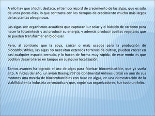 A ello hay que añadir, destaca, el tiempo récord de crecimiento de las algas, que es sólo
de unos pocos días, lo que contrasta con los tiempos de crecimiento mucho más largos
de las plantas oleaginosas.
Las algas son organismos acuáticos que capturan luz solar y el bióxido de carbono para
hacer la fotosíntesis y así producir su energía, y además producir aceites vegetales que
se pueden transformar en biodiesel.
Pero, al contrario que la soya, azúcar o maíz usados para la producción de
biocombustibles, las algas no necesitan extensos terrenos de cultivo, pueden crecer en
casi cualquier espacio cerrado, y lo hacen de forma muy rápida, de este modo es que
podrían desarrollarse en tanque en cualquier localización.
Tantos avances ha logrado el uso de algas para fabricar biocombustible, que ya vuela
alto. A inicios del año, un avión Boeing 737 de Continental Airlines utilizó en uno de sus
motores una mezcla de biocombustibles con base en algas, en una demostración de la
viabilidad en la industria aeronáutica y que, según sus organizadores, fue todo un éxito.
 
