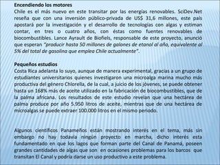 Encendiendo los motores
Chile es el más nuevo en este transitar por las energías renovables. SciDev.Net
reseña que con una inversión público-privada de US$ 31,6 millones, este país
apostará por la investigación y el desarrollo de tecnologías con algas y estiman
contar, en tres o cuatro años, con éstas como fuentes renovables de
biocombustibles. Lance Ayrault de Biofiels, responsable de este proyecto, anunció
que esperan “producir hasta 50 millones de galones de etanol al año, equivalente al
5% del total de gasolina que emplea Chile actualmente”.
Pequeños estudios
Costa Rica adelanta lo suyo, aunque de manera experimental, gracias a un grupo de
estudiantes universitarios quienes investigaron una microalga marina mucho más
productiva del género Chlorella, de la cual, a juicio de los jóvenes, se puede obtener
hasta un 168% más de aceite utilizado en la fabricación de biocombustibles, que de
la palma africana. Los resultados de este estudio revelan que una hectárea de
palma produce por año 5.950 litros de aceite, mientras que de una hectárea de
microalgas se puede extraer 100.000 litros en el mismo periodo.
Algunos científicos Panameños están mostrando interés en el tema, más sin
embargo no hay todavía ningún proyecto en marcha, dicho interés esta
fundamentado en que los lagos que forman parte del Canal de Panamá, poseen
grandes cantidades de algas que son en ocasiones problemas para los barcos que
transitan El Canal y podría darse un uso productivo a este problema.
 