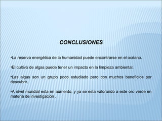 CONCLUSIONES
•La reserva energética de la humanidad puede encontrarse en el océano.
•El cultivo de algas puede tener un impacto en la limpieza ambiental.
•Las algas son un grupo poco estudiado pero con muchos beneficios por
descubrir.
•A nivel mundial esta en aumento, y ya se esta valorando a este oro verde en
materia de investigación .
 