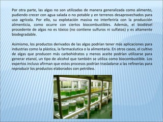 Por otra parte, las algas no son utilizadas de manera generalizada como alimento,
pudiendo crecer con agua salada o no potable y en terrenos desaprovechados para
uso agrícola. Por ello, su explotación masiva no interferiría con la producción
alimenticia, como ocurre con ciertos biocombustibles. Además, el biodiésel
procedente de algas no es tóxico (no contiene sulfuros ni sulfatos) y es altamente
biodegradable.
Asimismo, los productos derivados de las algas podrían tener más aplicaciones para
industrias como la plástica, la farmacéutica o la alimentaria. En otros casos, el cultivo
de algas que producen más carbohidratos y menos aceite podrían utilizarse para
generar etanol, un tipo de alcohol que también se utiliza como biocombustible. Los
expertos incluso afirman que estos procesos podrían trasladarse a las refinerías para
reproducir los productos elaborados con petróleo.
 