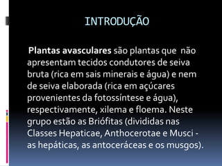 INTRODUÇÃO Plantas avasculares são plantas que  não apresentam tecidos condutores de seiva bruta (rica em sais minerais e água) e nem de seiva elaborada (rica em açúcares provenientes da fotossíntese e água), respectivamente, xilema e floema. Neste grupo estão as Briófitas (divididas nas Classes Hepaticae, Anthocerotae e Musci - as hepáticas, as antoceráceas e os musgos).