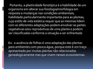        Portanto, a plasticidade fenotípica é a habilidade de um  organismo em alterar sua fisiologia/morfologia em resposta a mudanças nas condições ambientais; habilidade particularmente importante para as plantas, cujo estilo de vida estática requer que as mesmas lidem com as diferentes adaptações podem envolver as partes vegetativas e/ou reprodutivas de uma planta e podem ser classificadas conforme a situação a ser enfrentada       Ex:  a ausência de folhas é uma adaptação das plantas para ambientes com pouca água, porque este é um traço apresentado por muitas plantas não relacionadas genealogicamente mas que vivem nesses ecossistemas. 