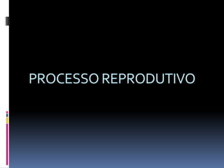 PROCESSO REPRODUTIVO