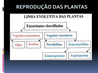 REPRODUÇÃO DAS PLANTAS