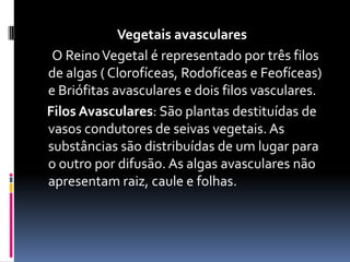 Vegetais avasculares      O Reino Vegetal é representado por três filos de algas ( Clorofíceas, Rodofíceas e Feofíceas) e Briófitas avasculares e dois filos vasculares.    Filos Avasculares: São plantas destituídas de vasos condutores de seivas vegetais. As substâncias são distribuídas de um lugar para o outro por difusão. As algas avasculares não apresentam raiz, caule e folhas.