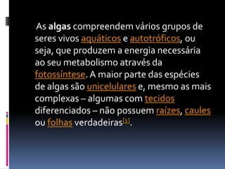      As algas compreendem vários grupos de seres vivos aquáticos e autotróficos, ou seja, que produzem a energia necessária ao seu metabolismo através da fotossíntese. A maior parte das espécies de algas são unicelulares e, mesmo as mais complexas – algumas com tecidos diferenciados – não possuem raízes, caules ou folhas verdadeiras[1].
