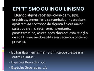 EPIFITISMO OU INQUILINISMO        Quando alguns vegetais - como os musgos, orquídeas, bromélias e samambaias - necessitam apoiarem-se no tronco de alguma árvore maior para poderem crescer sem, no entanto, parasitarem-na, os ecólogos chamam essa relação de epifitismo; sendo epífita a espécie que obtêm o proveito.-  Epífias (Epi = em cima):  Significa que cresce em outras plantas-  Espécies Reunidas: +/0-  Espécies Separadas: 0/0