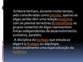      Embora tenham, durante muito tempo, sido consideradas como plantas, apenas as algas verdes têm uma relação evolutiva com as plantas terrestres (Embriófitas); os grupos restantes de algas representam linhas independentes de desenvolvimento evolutivo, paralelo.      A disciplina da biologia que estuda as algas é a ficologia ou algologia, tradicionalmente uma especialização da botânica.