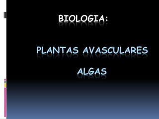 Biologia:plantas avasculares algas 