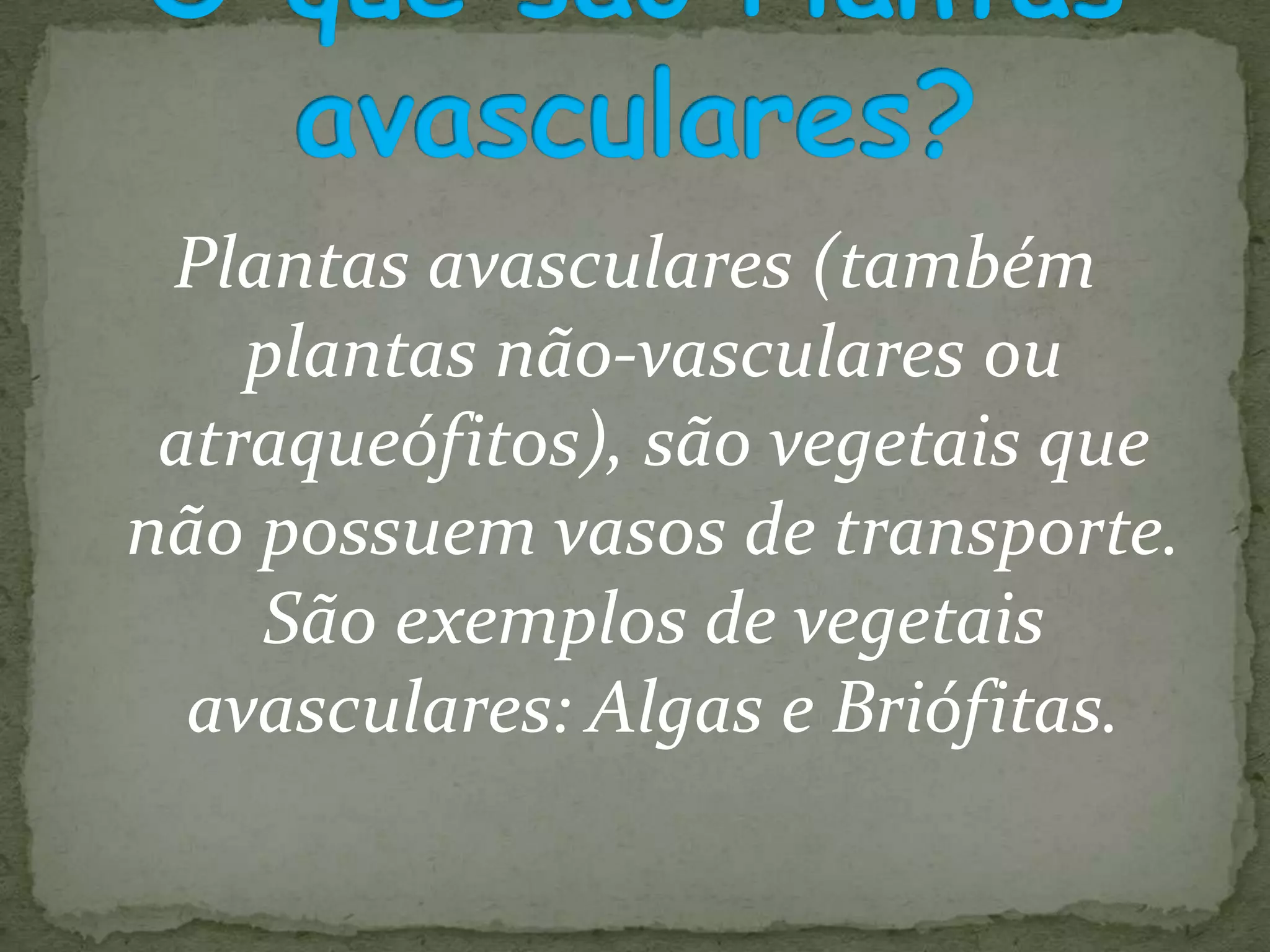 Algas e plantas avasculares 1o b | PPTX