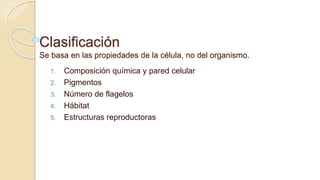 Clasificación
Se basa en las propiedades de la célula, no del organismo.
1. Composición química y pared celular
2. Pigmentos
3. Número de flagelos
4. Hábitat
5. Estructuras reproductoras
 