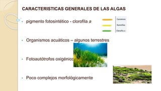 CARACTERISTICAS GENERALES DE LAS ALGAS
• pigmento fotosintético - clorofila a
• Organismos acuáticos – algunos terrestres
• Fotoautótrofos oxigénicos
• Poco complejos morfológicamente
 