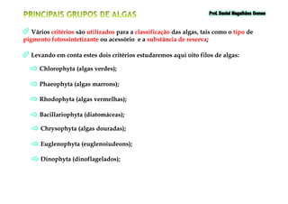 VáriosVários critérioscritérios sãosão utilizadosutilizados parapara aa classificaçãoclassificação dasdas algas,algas, taistais comocomo oo tipotipo dede
pigmentopigmento fotossintetizantefotossintetizante ouou acessórioacessório ee aa substânciasubstância dede reservareserva;;
ChlorophytaChlorophyta (algas(algas verdes)verdes);;
PhaeophytaPhaeophyta (algas(algas marrons)marrons);;
LevandoLevando emem contaconta estesestes doisdois critérioscritérios estudaremosestudaremos aquiaqui oitooito filosfilos dede algasalgas::
RhodophytaRhodophyta (algas(algas vermelhas)vermelhas);;RhodophytaRhodophyta (algas(algas vermelhas)vermelhas);;
BacillariophytaBacillariophyta (diatomáceas)(diatomáceas);;
ChrysophytaChrysophyta (algas(algas douradas)douradas);;
EuglenophytaEuglenophyta (euglenoiudeons)(euglenoiudeons);;
DinophytaDinophyta (dinoflagelados)(dinoflagelados);;
 